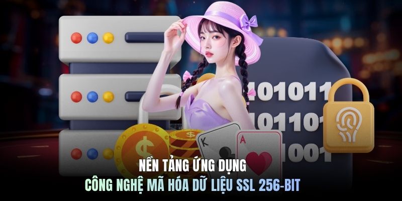 Nền tảng ứng dụng công nghệ mã hóa dữ liệu SSL 256-bit