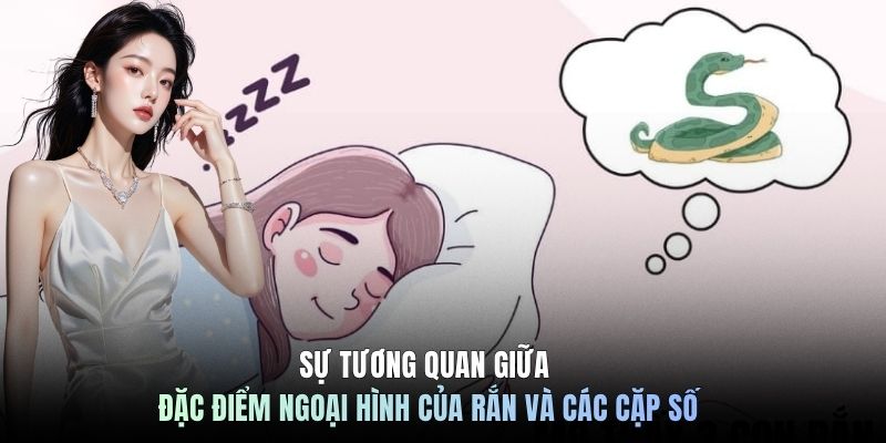 Sự tương quan giữa đặc điểm ngoại hình của rắn và các cặp số 