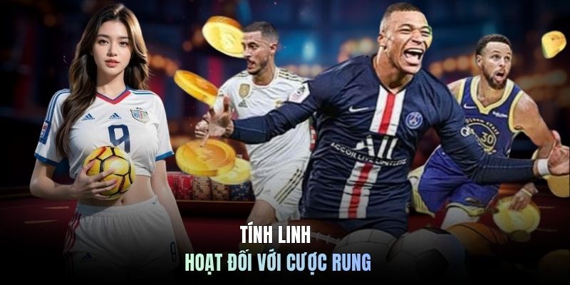 Tính linh hoạt đối với cược rung