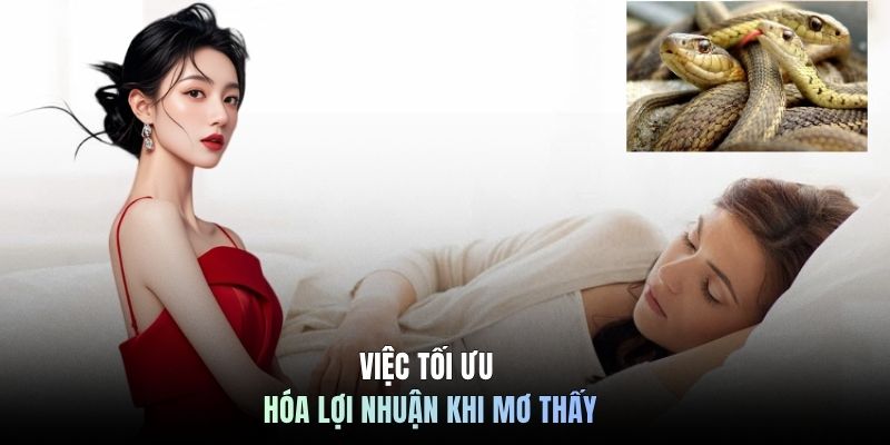 Việc tối ưu hóa lợi nhuận khi mơ thấy